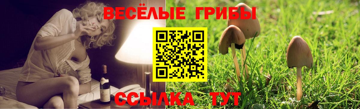Галлюциногенные грибы прущие грибы  Вход с VPN  Урай 